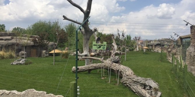 SKANDAL! CAN ÇEKİŞİNİ İZLEDİLER