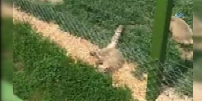 ESKİŞEHİR’DE SKANDAL GÖRÜNTÜ