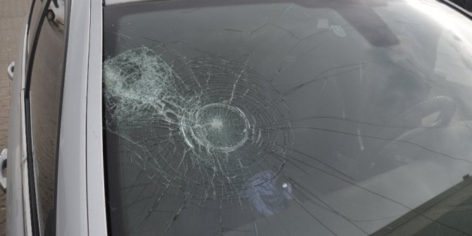 HAYVAN OTLATMA KAVGASINDA KAN AKTI: 4 YARALI