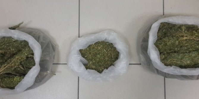 20 ZEHİR TACİRİ TUTUKLANDI