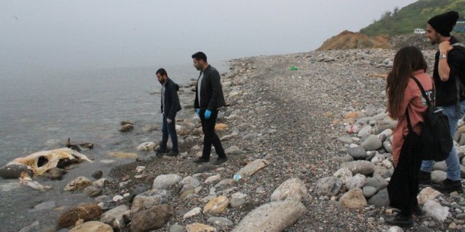 SAHİLE VURDU: GÖRENLER ŞOKE OLDU