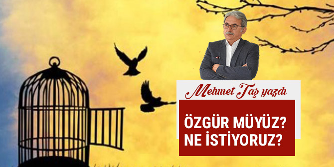 ÖZGÜR MÜYÜZ? NE İSTİYORUZ?