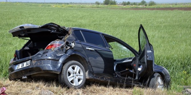 KAPLUMBAĞAYI EZMEMEK İÇİN MANEVRA YAPINCA TAKLA ATTI
