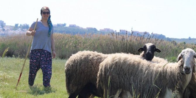 SERTİFİKALI ÇOBAN MODERN GÖRÜNTÜSÜYLE DİKKAT ÇEKİYOR