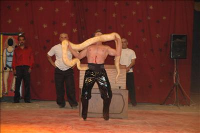 Sirk gösterisinde kan aktı