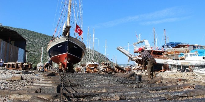 TEKNESİNİ KARADAN YÜRÜTEREK DENİZE İNDİ