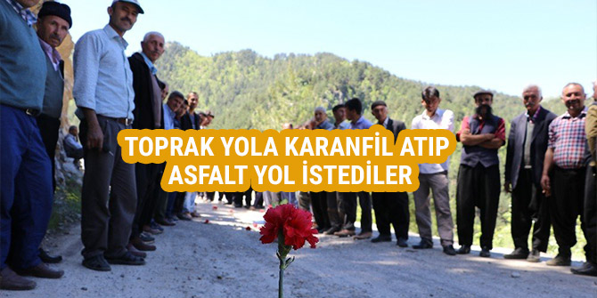 TOPRAK YOLA KARANFİL ATIP ASFALT YOL İSTEDİLER