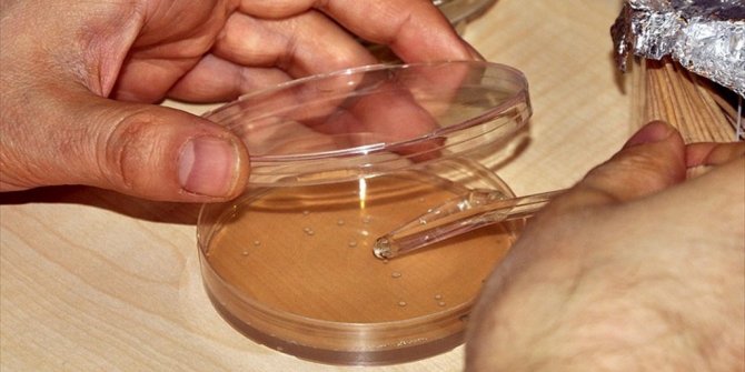 ANTİBİYOTİĞE DİRENÇLİ MİKROORGANİZMALARIN GEÇMİŞİ SANILANDAN DAHA ESKİ