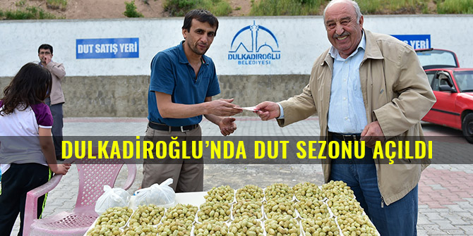 DULKADİROĞLU’NDA DUT SEZONU AÇILDI