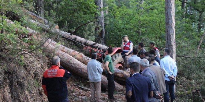 ÜZERİNE  DEVRİLEN AĞACIN ALTINDA CAN VERDİ