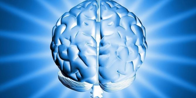 TEK BİR HATIRA İÇİN BEYNİN UZAK BÖLGELERİNİ HAREKETE GEÇİYOR! YENİ BULUŞ