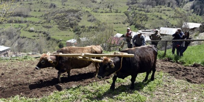 KARASABANDAN VAZGEÇMİYORLAR