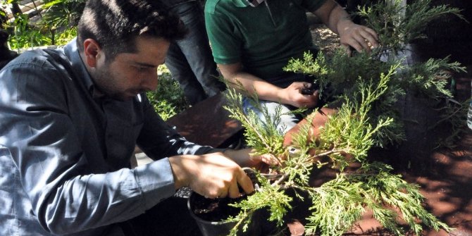 HUZUR VEREN UĞRAŞ: BONSAİ