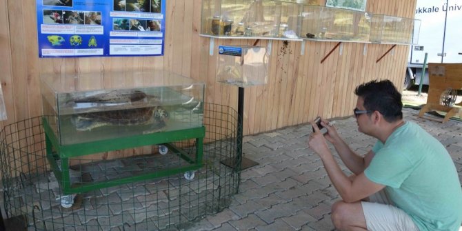 DÜNYANIN İLK ÇENE PROTEZLİ CARETTA CARETTASI MÜZEDE