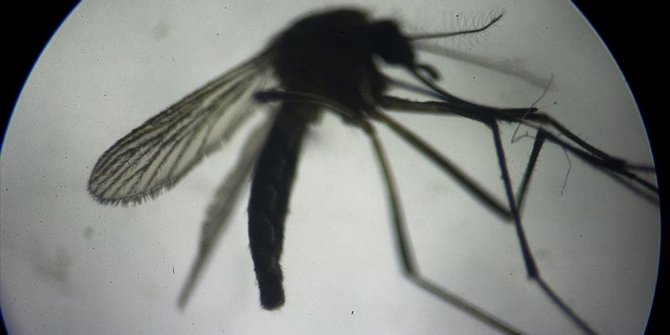 HİNDİSTAN'DA ZİKA VAKASI TESPİT EDİLDİ