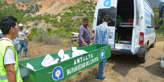 ANTALYA'DA 30 MEZARI BÖYLE TAŞIDILAR