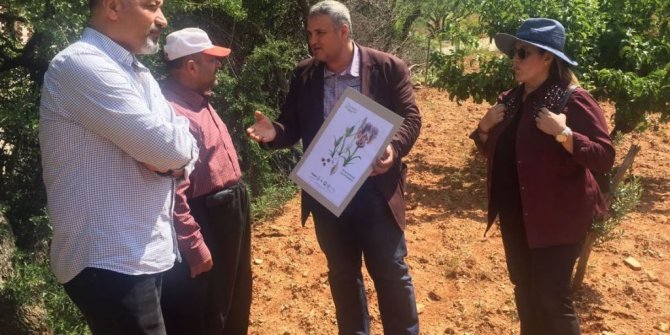 KSÜ ORMAN FAKÜLTESİ, YÜRÜTTÜĞÜ PROJEYLE MARAŞ KURTKULAĞI’NA DİKKAT ÇEKTİ