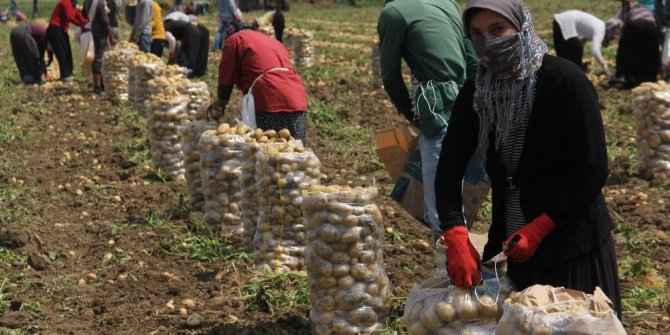 49 LİRA İÇİN 15 SAAT ÇALIŞIYORLAR