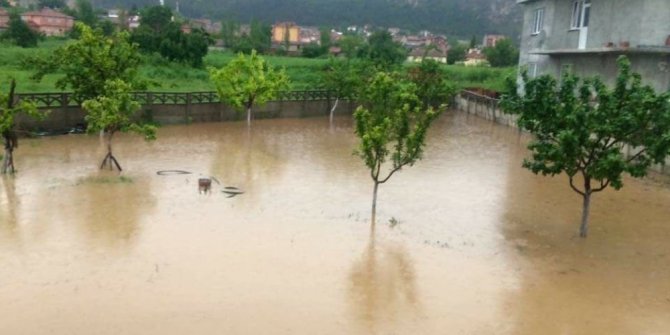 İNÖNÜ SELE TESLİM OLDU