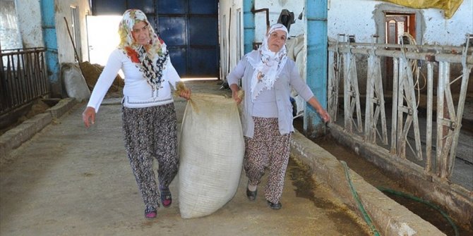 MUŞLU KADINLAR DEVLET DESTEĞİYLE ÇİFTLİK KURDU