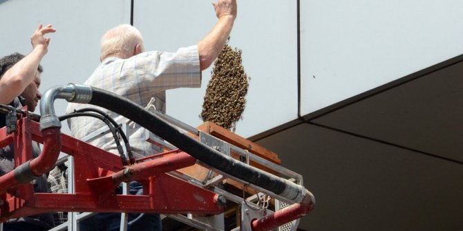 ARILAR BANKANIN DUVARINI MESKEN TUTTU