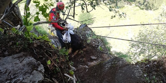 MAHSUR KALAN KEÇİLERE 7 SAATLİK KURTARMA OPERASYONU