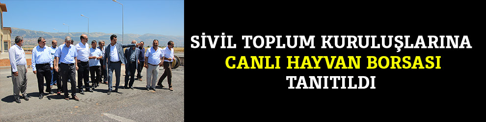 SİVİL TOPLUM KURULUŞLARINA CANLI HAYVAN BORSASI TANITILDI