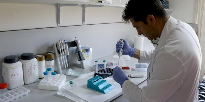 KANSERİ ARAŞTIRIRKEN KANSER OLDU