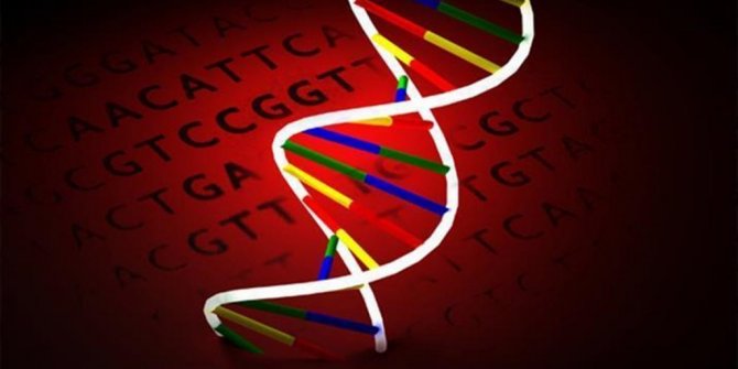 GENLER GÖZDEN ZİHİN OKUMA YETENEĞİNİ ETKİLİYOR