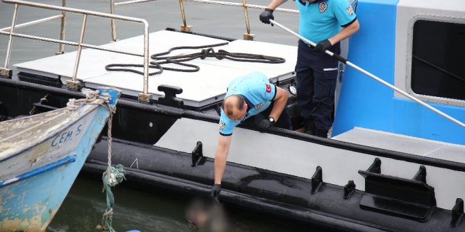 DENİZDEN ERKEK CESEDİ ÇIKTI