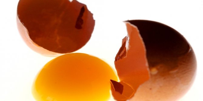 HER GÜN BİR YUMURTA BEBEK GELİŞİMİNE KATKI SAĞLIYOR