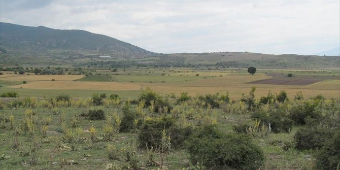 O ŞEHİRE MÜHİMMAT FABRİKASI KURULACAK