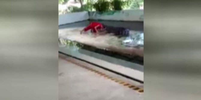 DEV TİMSAHLA GÖSTERİ CANINDAN EDİYORDU