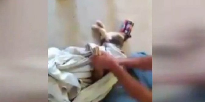 KEDİYİ ÖLÜMDEN BÖYLE KURTARDILAR