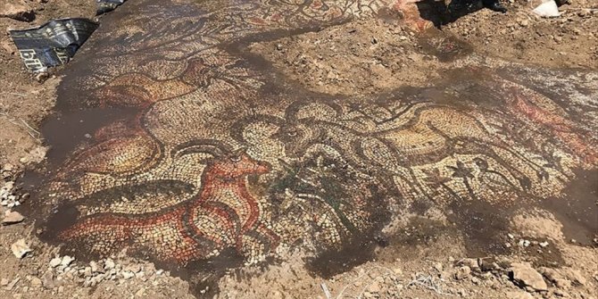ADIYAMAN'DA 1600 YILLIK MOZAİK BULUNDU