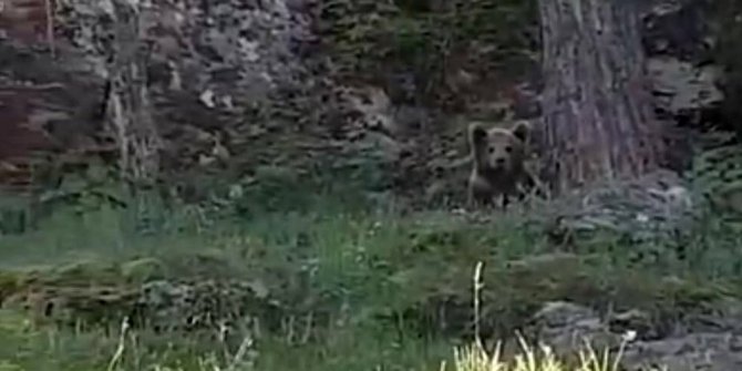 BALIK TUTARKEN AYIYLA KARŞILAŞTILAR