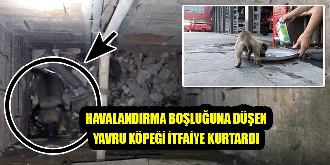 HAVALANDIRMA BOŞLUĞUNA DÜŞEN YAVRU KÖPEĞİ İTFAİYE KURTARDI