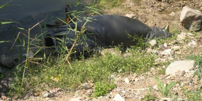 KAYIP GENCİN CESEDİ BULUNDU