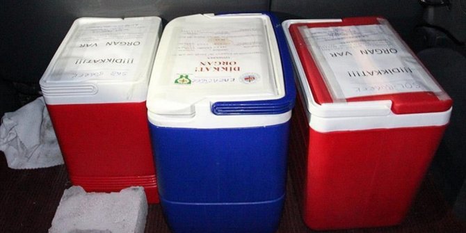 ORGAN KAÇAKÇILIĞINDAN 9 KİŞİ YAKALANDI