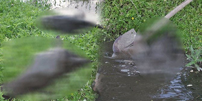 BU GÖRÜNTÜ MAHALLE SAKİNLERİNİ AYAĞA KALDIRDI