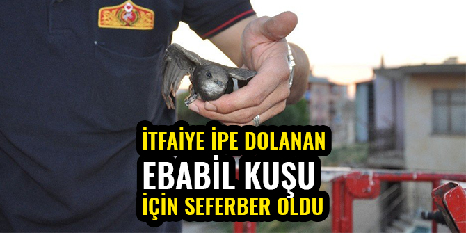 İTFAİYE İPE DOLANAN EBABİL İÇİN SEFERBER OLDU