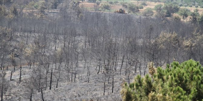 YANGININ NEDEN OLDUĞU ZARAR GÜN AĞARINCA ORTAYA ÇIKTI