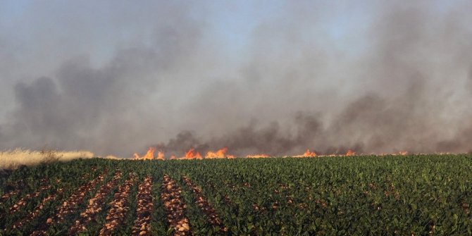 YANGIN 12 KÖYÜ SARDI