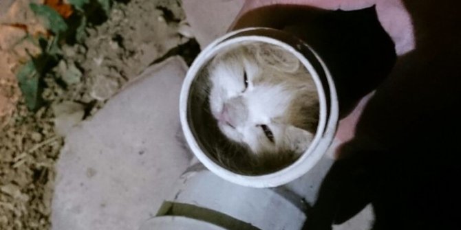 BORUYA SIKIŞAN KEDİYİ İTFAİYE KURTARDI