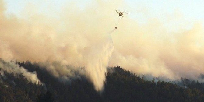 YANGINDA ONLARCA ZEYTİN AĞACI ZARAR GÖRDÜ