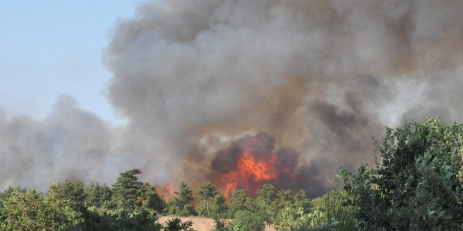 ORMAN YANGINI NEDENİYLE KÖY BOŞALTILDI