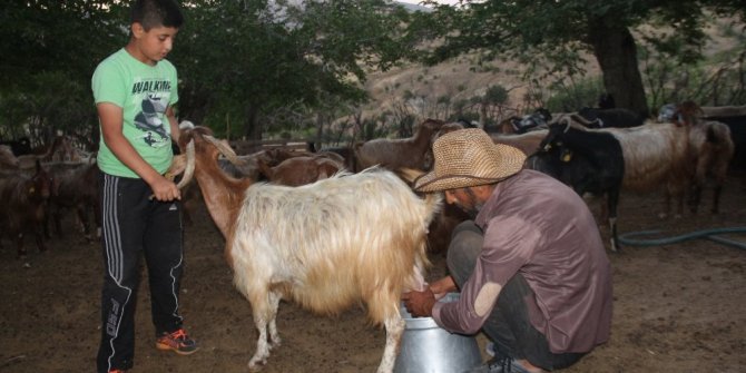 ŞEHRİN GÜRÜLTÜSÜNDEN BIKINCA KÖYÜNE DÖNDÜ