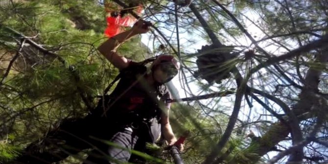 PARAŞÜTÇÜ AĞAÇLARA DALDI