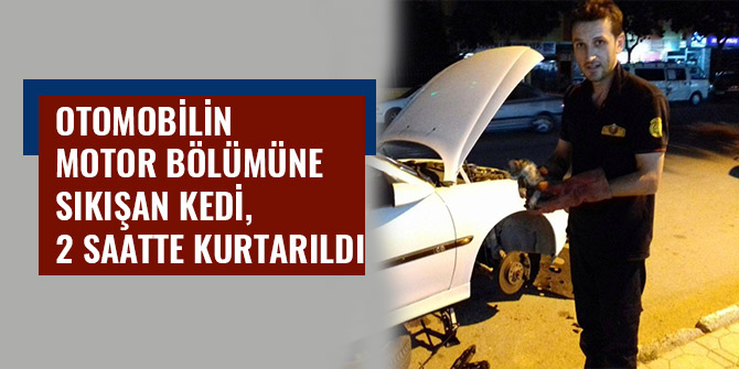 OTOMOBİLİN MOTOR BÖLÜMÜNE SIKIŞAN KEDİ, 2 SAATTE KURTARILDI