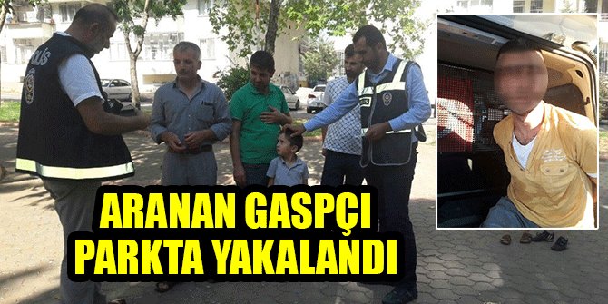 ARANAN GASPÇI PARKTA YAKALANDI